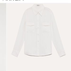 Aritzia Babaton Blouse Shirt